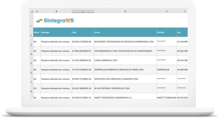 Sintegra WS Excel